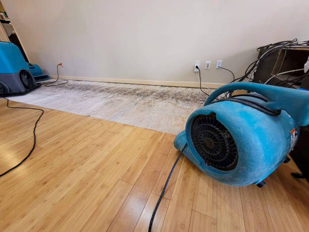 Reliable Basement Flood Cleanup contractor in Bluffton, TX by Hirex Water Damage