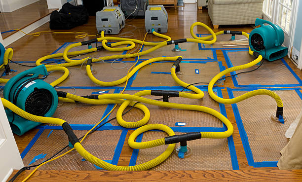 Professional Basement Flood Cleanup technician working in Bluffton, TX